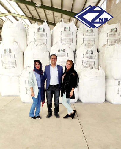 هلدینگ به نژاد